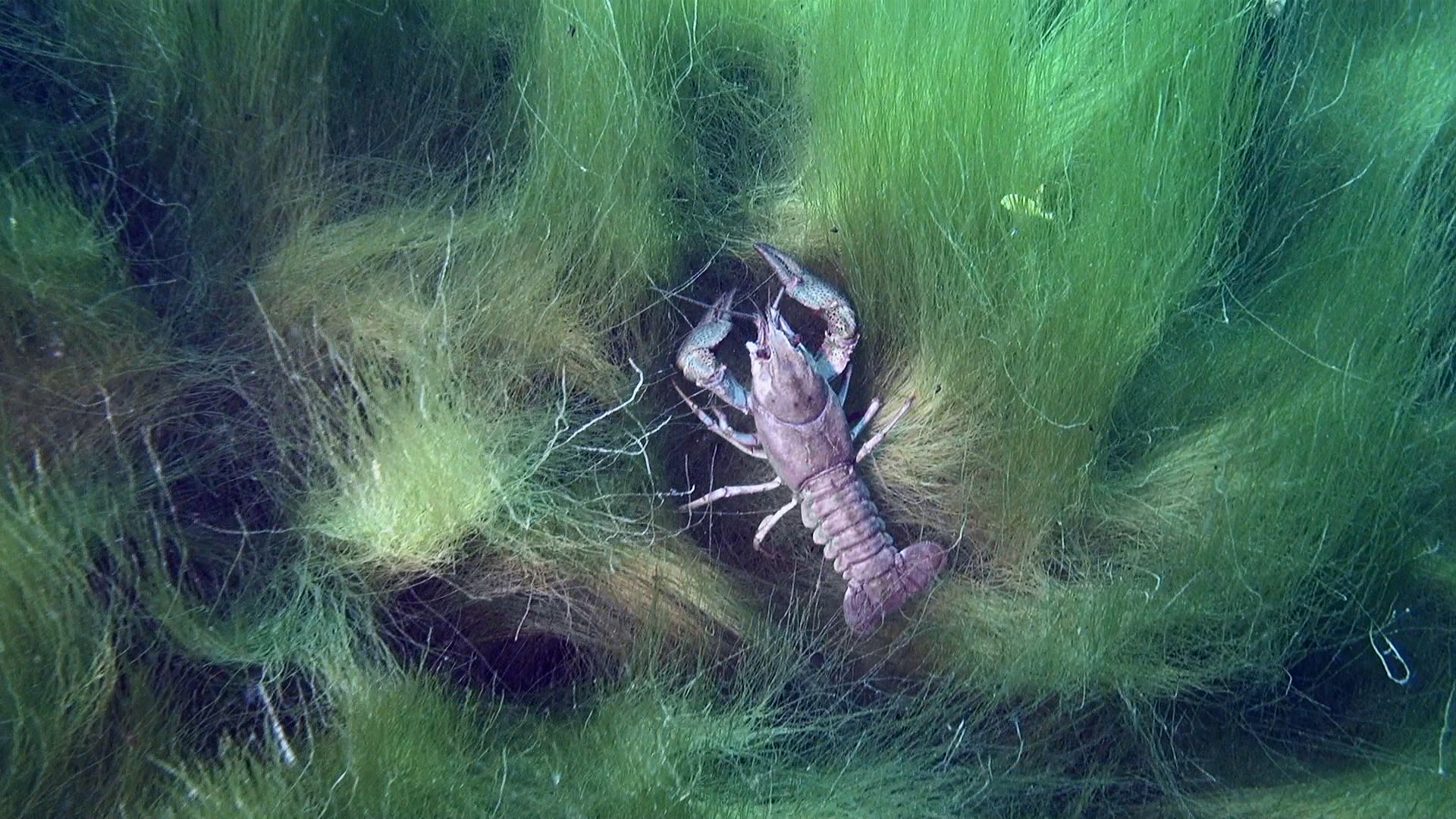 Sommertour Kulkwitzer See